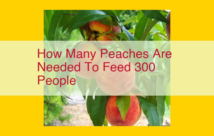 How Many Peaches to Feed 300 People: Nutrition Facts and Serving Guide