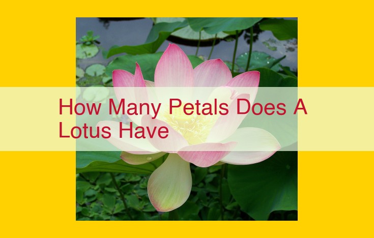 The Spiritual Significance of Lotus Petals: Uncovering the Symbolism of Purity and Enlightenment