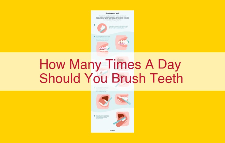 Optimal Dental Hygiene for a Healthy Smile: How Often to Brush and Floss