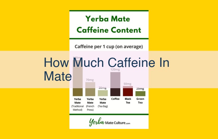 Yerba Mate: Unleash the Natural Energy Powerhouse with Health Benefits