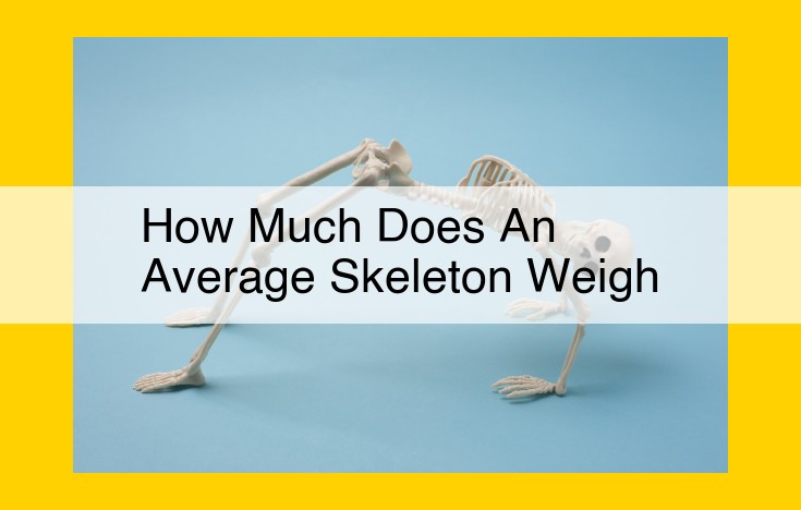 Skeletal System: Structure, Health Assessment, and Anthropometric Measures