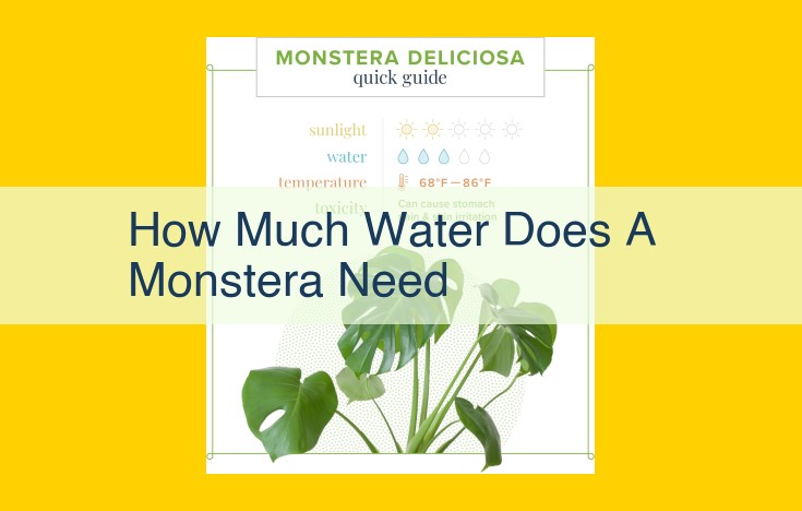 Monstera Care Guide: Master Watering for Healthy Swiss Cheese Plants