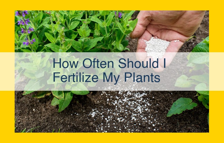 Optimize Fertilization Frequency for Plant Health