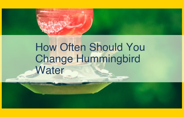 Hummingbird Nectar Care: Essential Tips for Clean and Fresh Nectar