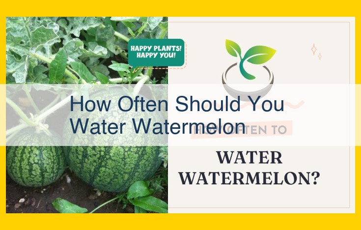 Optimized Title for SEO: Watermelon Watering Guide: Frequency, Techniques, and Soil Moisture Management for Optimal Fruit Development