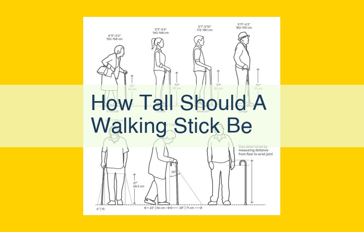 How to Choose the Perfect Walking Stick for Optimal Comfort and Support