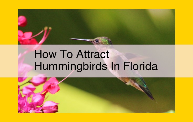 Attract Hummingbirds in Florida: Organizations, Gardens, and Conservation Efforts