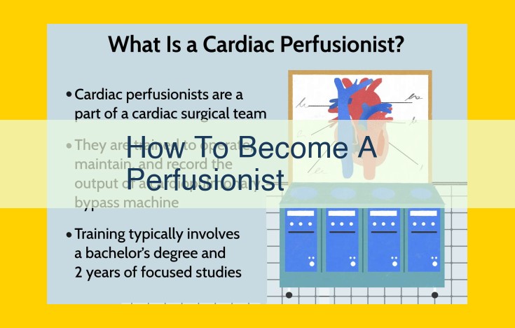 Mastering the Art of Perfusion: A Comprehensive Guide to Becoming a Certified Professional