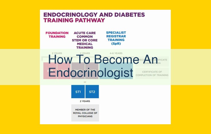 Endocrinology: A Comprehensive Guide to Education, Training, and Practice