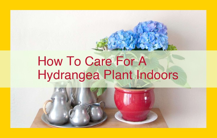 Essential Hydrangea Care Guide for Indoor Thriving: Watering, Light, Soil, pH, and More