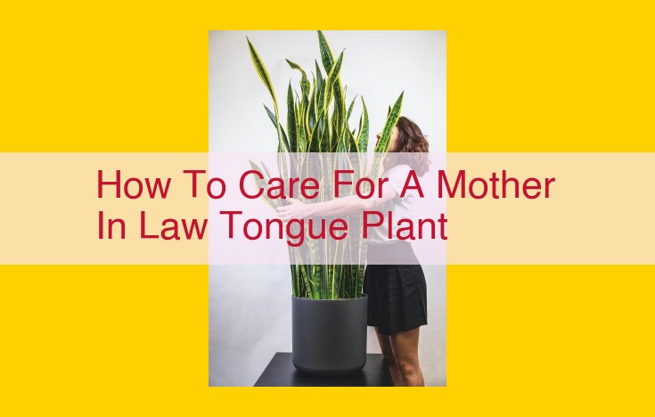 Comprehensive Mother-in-Law Tongue Plant Care Guide: Thriving in Your Home