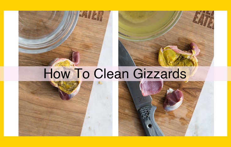 5 Essential Steps for Effortlessly Cleaning Gizzards