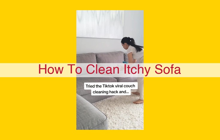 Ultimate Guide to Conquering the Itchy Sofa: Vacuuming, Deep Cleaning, Odor Neutralization, and Preventative Care