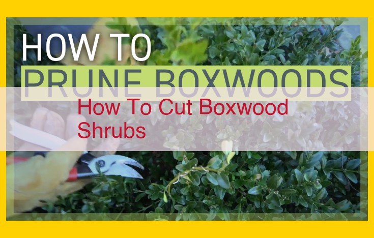 Definitive Guide to Pruning Boxwood Shrubs for Optimal Growth and Aesthetics