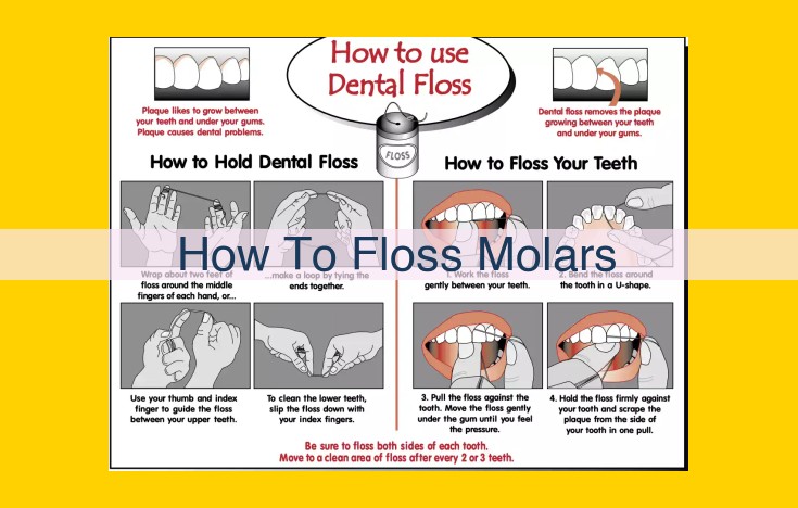 Master Molar Flossing: A Comprehensive Guide for Optimal Oral Hygiene