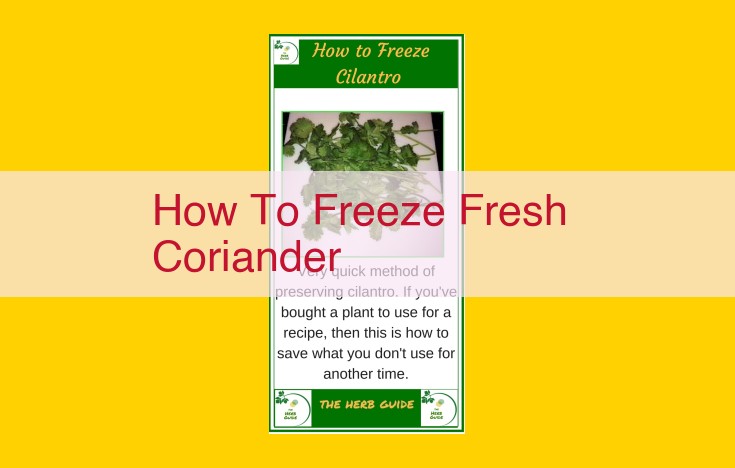 How to Freeze Fresh Coriander: Step-by-Step Guide for Optimal Preservation