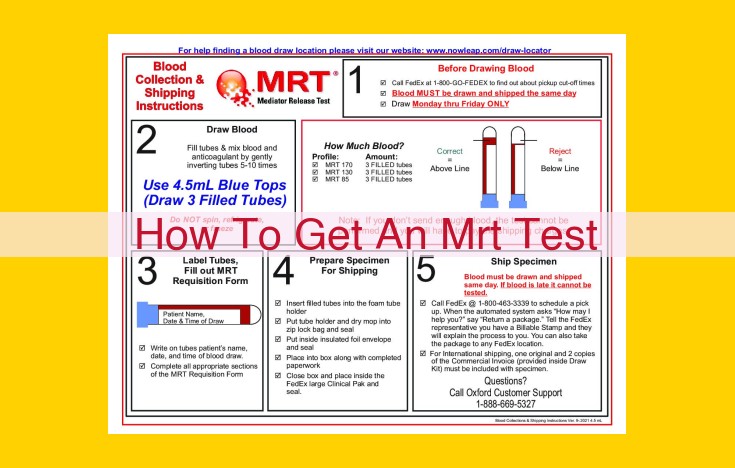 Comprehensive Guide to MRT Testing: Entities Involved and Procedures