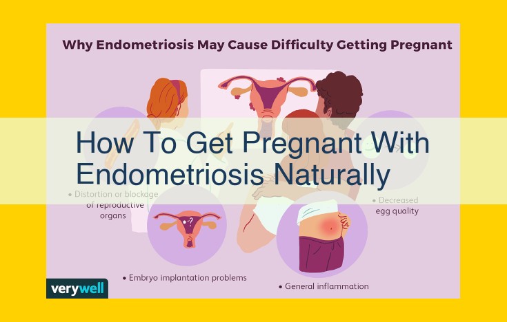 Essential Entities for Understanding Endometriosis and Pregnancy: A Comprehensive Guide for Patients