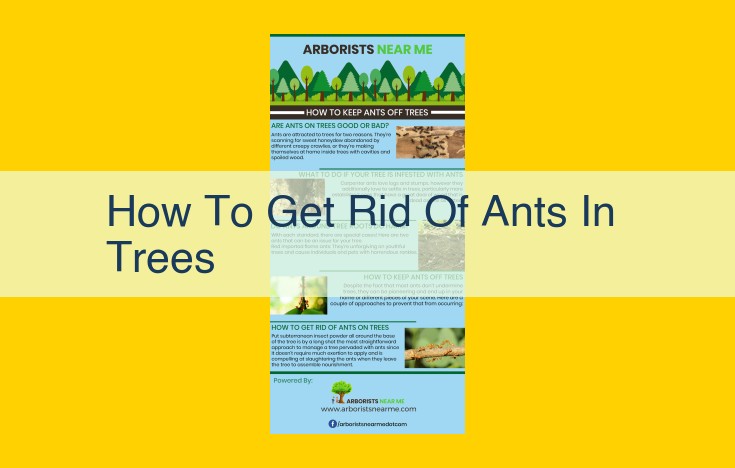 Eliminate Ants in Trees: Ultimate Guide to Preventing and Controlling Ant Infestations