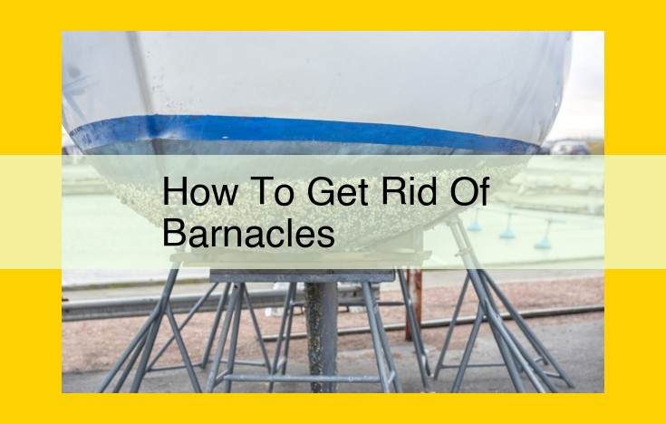 Comprehensive Guide to Ridding Surfaces of Barnacles: Methods, Prevention, and Expert Advice