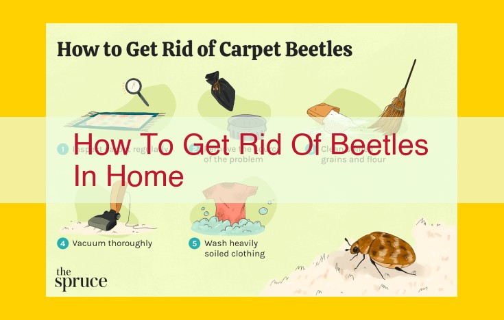 Ultimate Beetles Elimination Guide for Your Home: Prevent and Eradicate with Ease