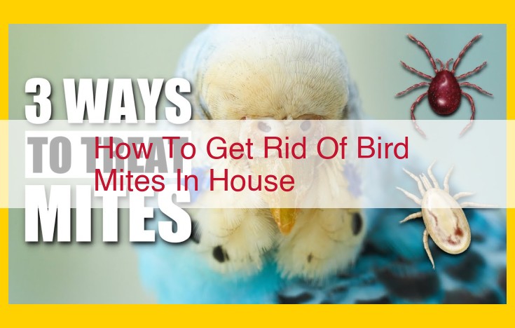 Comprehensive Guide to Eliminating Bird Mites in Your Home: Prevention, Control, and Sanitation