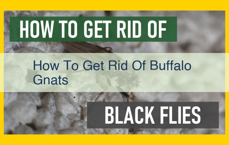 Buffalo Gnat Control: 5 Effective Ways to Keep Them Away