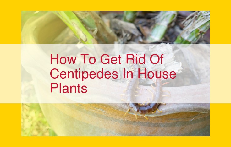 Eradicating Centipedes in Houseplants: A Comprehensive Guide to Prevention, Repellents, and Insecticides