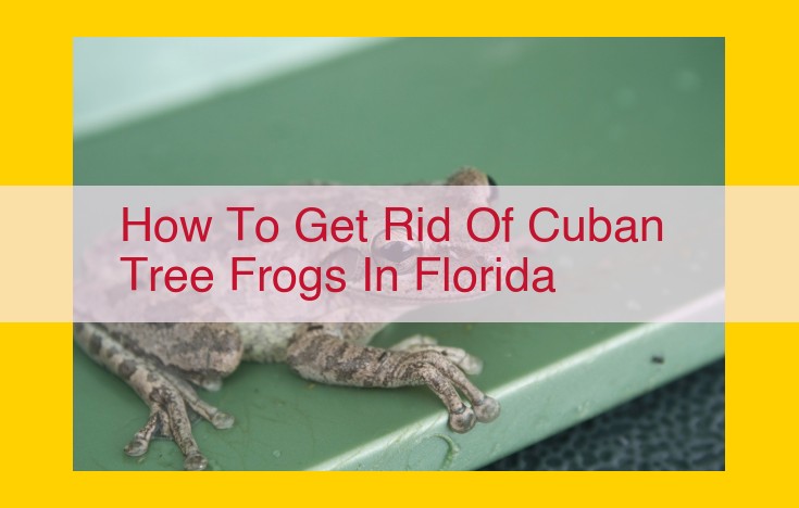 Eliminate Cuban Tree Frogs in Florida: Partnering with Amphibian Conservation Organizations