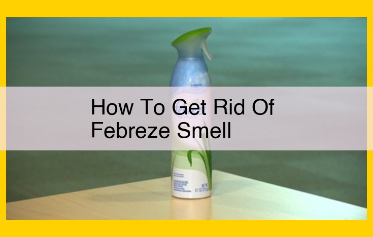 Ultimate Guide: 3 Powerful Odor Elimination Techniques for a Fresh and Inviting Home