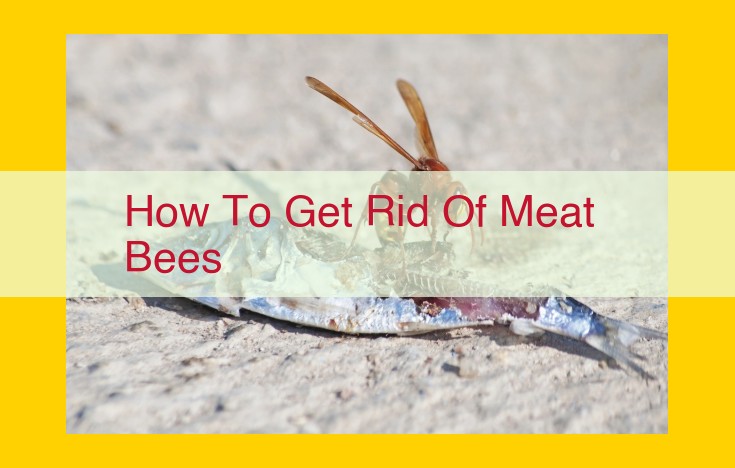 [Ultimate Guide] Effectively Remove Nuisance Meat Bees: Preventative and Control Measures