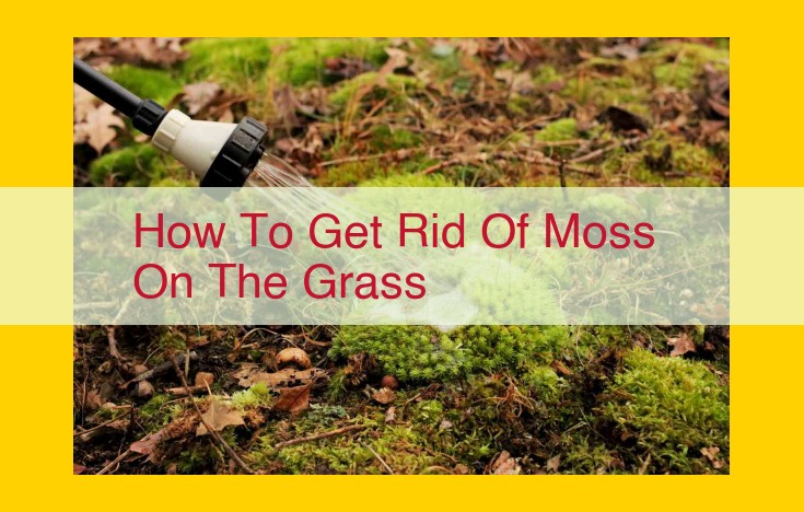 Effective Moss Removal Strategies for Lawns: Home Remedies, Physical Removal, and Chemical Control