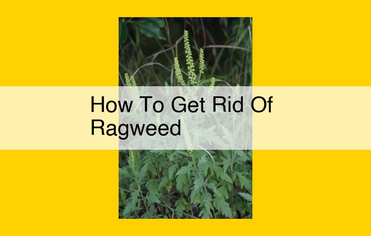 Effective Ragweed Control: A Comprehensive Guide to Eradication