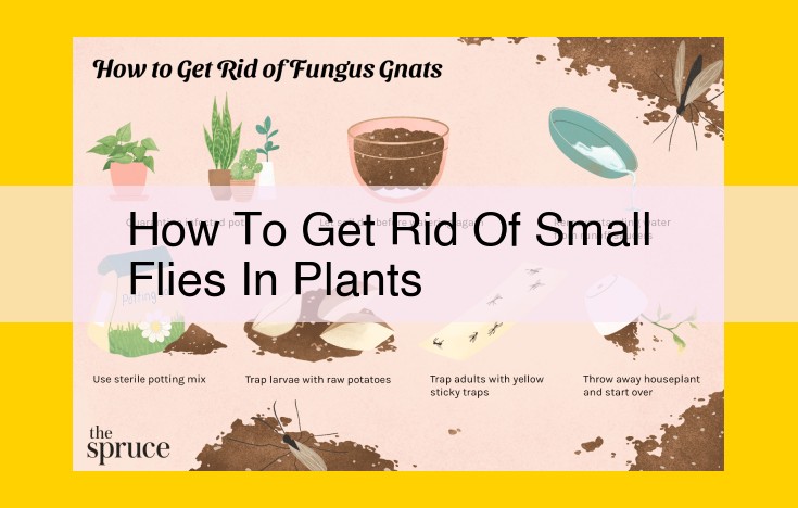 Eliminate Small Flies in Plants: A Comprehensive Guide to Effective Control Measures