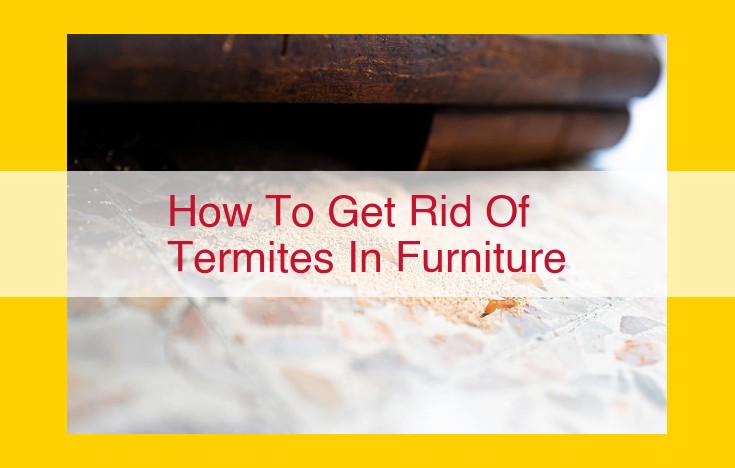 Eradicating Termite Infestations: A Comprehensive Guide for Wood Furniture Protection