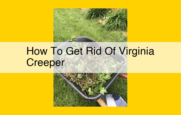 Virginia Creeper Removal Guide: Effective Methods for Small and Large Infestations