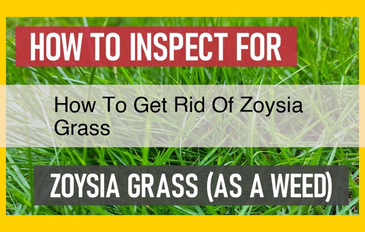 Eradicating Zoysia Grass: A Multi-Pronged Approach to Lawn Management