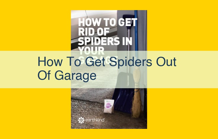 Eliminate Garage Spiders: Ultimate Guide to Prevention and Repulsion