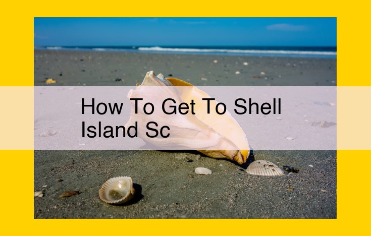 Discover Shell Island: Your Guide to Ferry, Private Boat, and Adventure Access