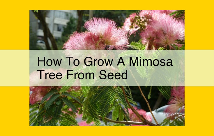 Growing a Mimosa Tree: A Comprehensive Guide from Seed to Spectacular Blooms