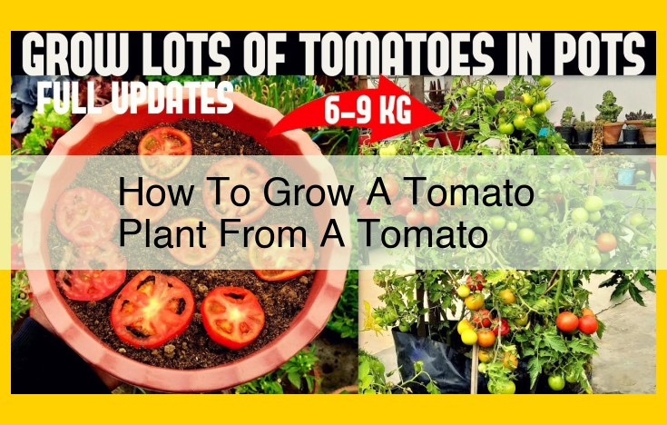 Ultimate Guide to Growing Thriving Tomatoes: A Step-by-Step Guide for Abundant Harvest