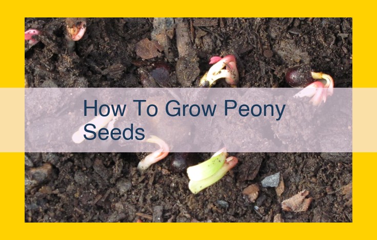 Comprehensive Guide: Growing Peony Seeds for Beginners