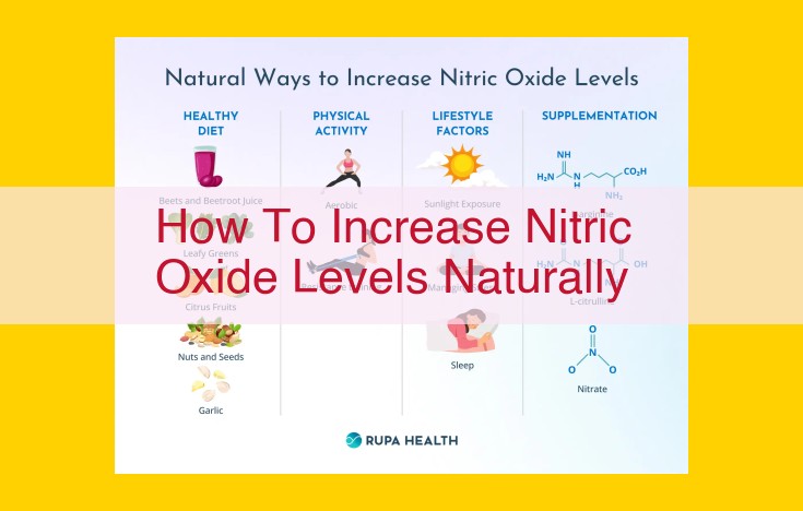 Unlocking Nitric Oxide: Natural Ways to Enhance Blood Flow and Circulation