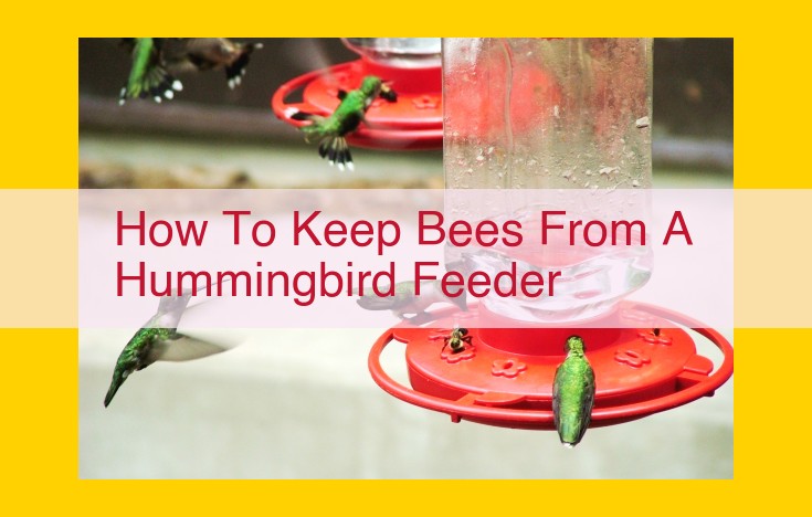 Ultimate Guide: Keep Bees Away from Hummingbird Feeders