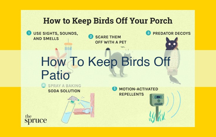 Effective Bird Control for Patios: Deterrents, Repellents, and Expert Tips