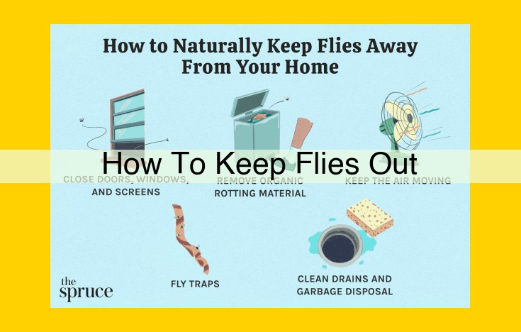 The Ultimate Guide to Keeping Flies Out: A Multi-Faceted Approach