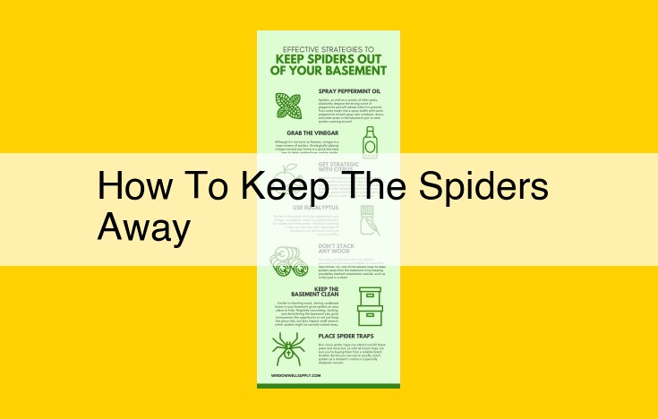 Eco-Friendly Spider Defense: Natural Repellents and Physical Barriers for a Pest-Free Home