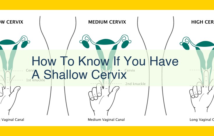 Shallow Cervix: Signs, Risks, Diagnosis, Treatment, and Emotional Support