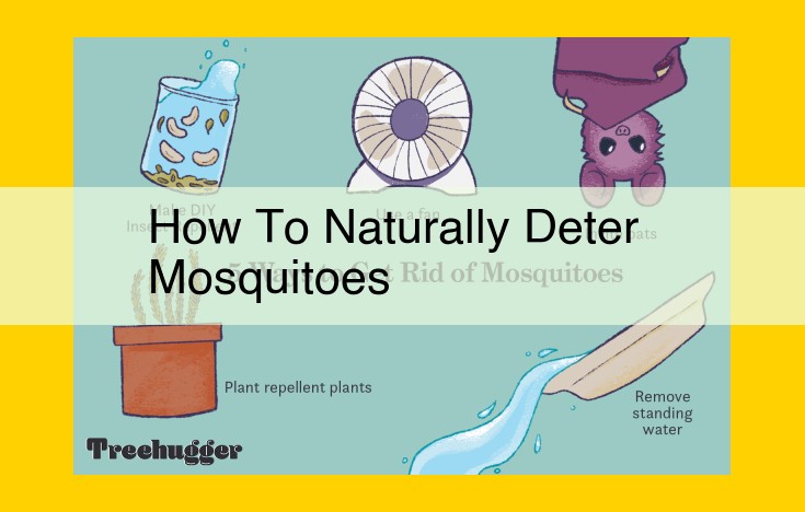 Comprehensive Mosquito Prevention: Natural Remedies, Traps, and Essential Techniques