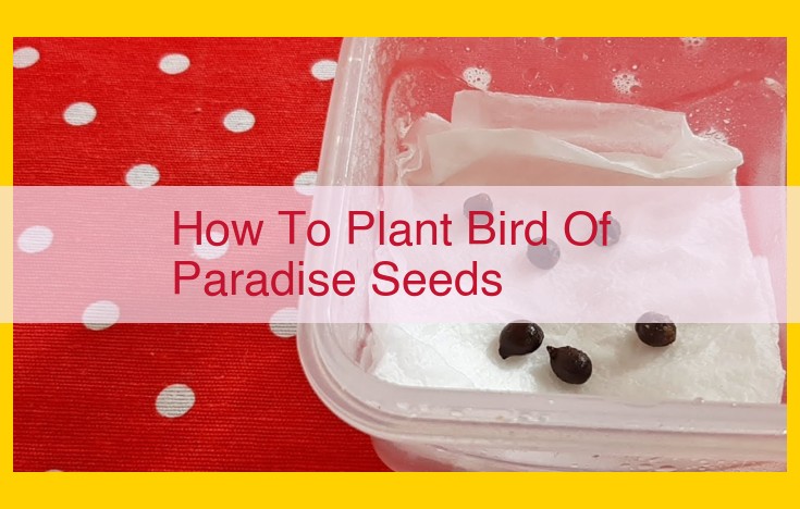 Plant Sunflowers with Ease: Step-by-Step Guide to Seedling Success